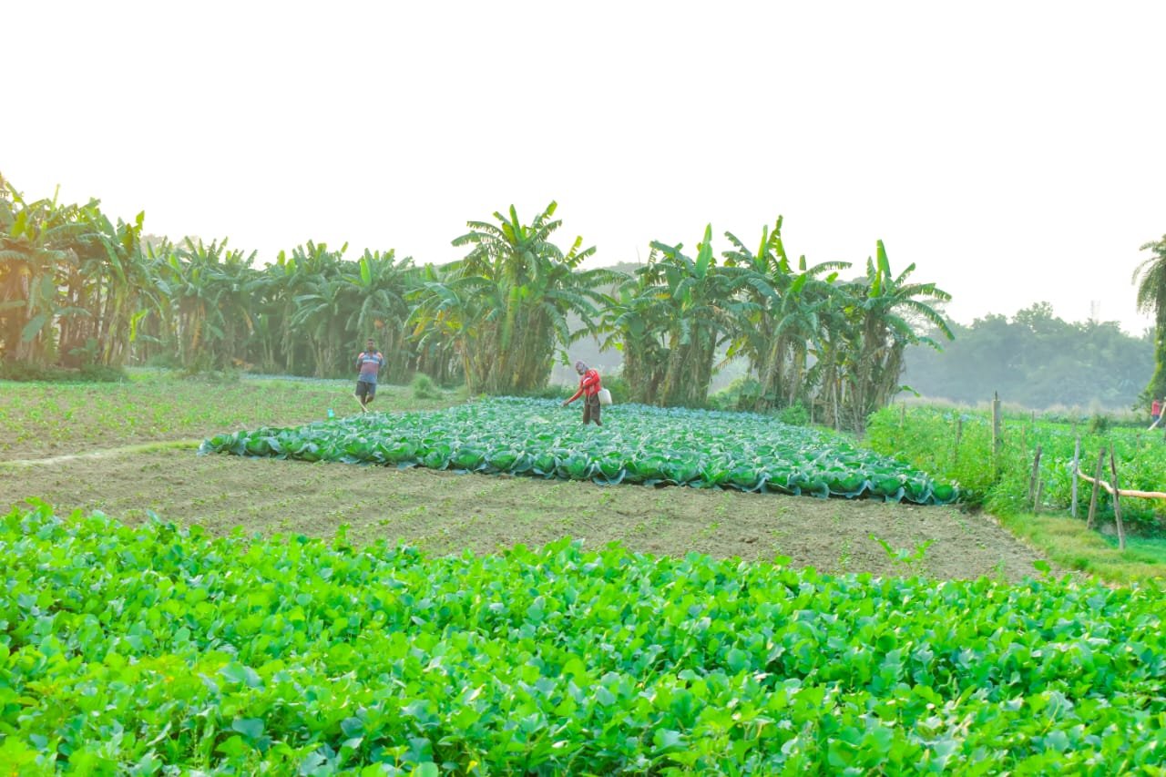 Help Us Keep the Fields Green